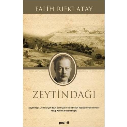 Гуманитарные и социальные науки Mandolin Yayınları China At AliExpress