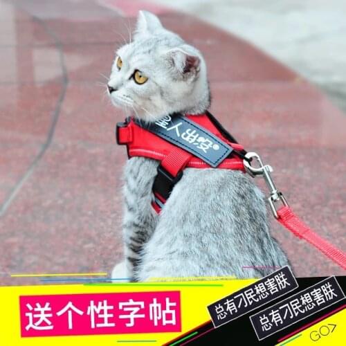Cat chest strap small dog rabbit cat high-grade traction strap wholesale