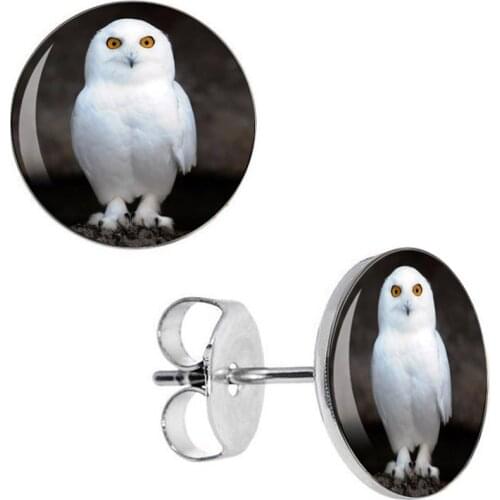 Wholesale Stud Earrings White Owl Stainless Steel Ear Studs Fashion Jewelry Unisex Earring 8mm 10mm AW5156