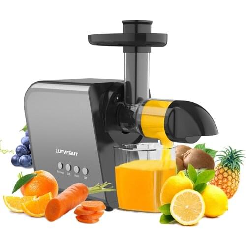 LUFVEBUT Slow Portable Blender Manual Juicer Extractor Cold Press Easy Clean High Juice Yield Reverse Function Glass Blender