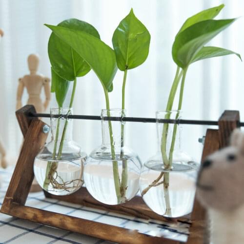 Glass and Wood Vase Hanging Flower Pots Planter Terrarium Table Desktop Hydroponics Plant Bonsai Pot Wooden Tray Dropshipping