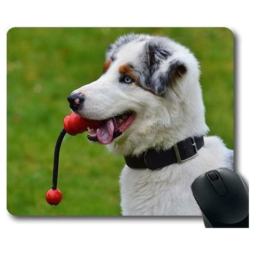 Custom Mouse Pad Funny Dog,Dog Young Play Playful Cute Playing Dog Romp,dogs mouse mat