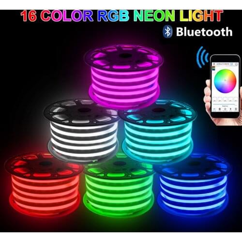 RGB Neon Strip 220V Waterproof 750W 1500W Music Bluetooth Control Flexible SMD 5050 LED Neon Sign Light 110V