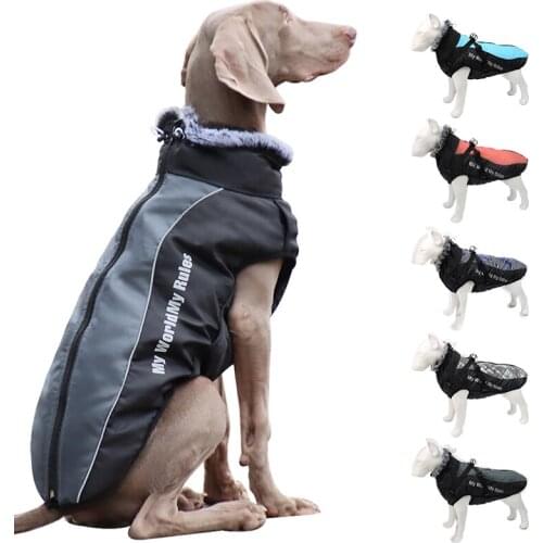 2021 Winter Pet Dog Clothes Stormsuit Vest Reflective Super Warm Dog Clothes Large Dogs Clothing Coat Pet Products Suppliers