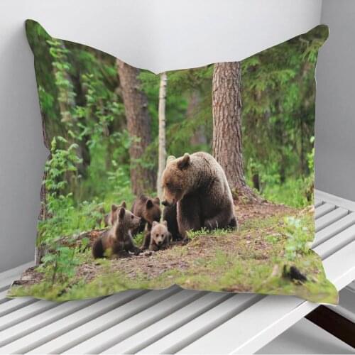 Bears Family Throw Pillows Cushion Cover On Sofa Home Decor 45*45cm 40*40cm Gift Pillowcase Cojines Dropshipping