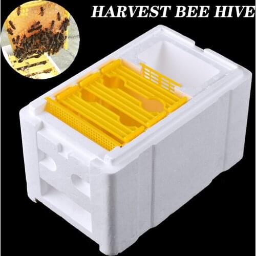 24cm Harvest Bee Hive Box Beekeeping King Box for Bee Pollination Beekeeping Tool Home Hive Box Beekeeping Equipment