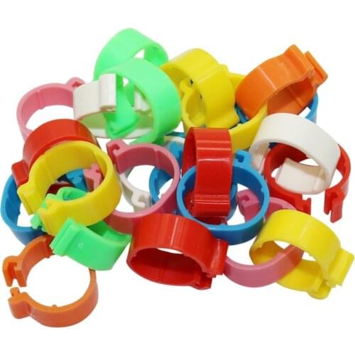 700 Pcs Inner Diameter 1.6cm Plastic Open Type Buckle Chicken Duck 7 Colors Digital Foot Ring Poultry Farming Equipment
