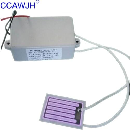 12v/24v/110v/220v Ozone Generator 1g/h with Ceramic Plate 2pcs start + Free Shipping
