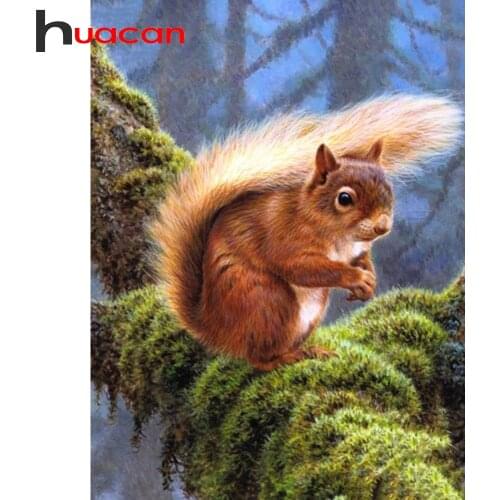 Huacan Full Square Diamond Painting Squirrel Embroidery Cross Stitch Animal Mosaic Childrens Room Decor