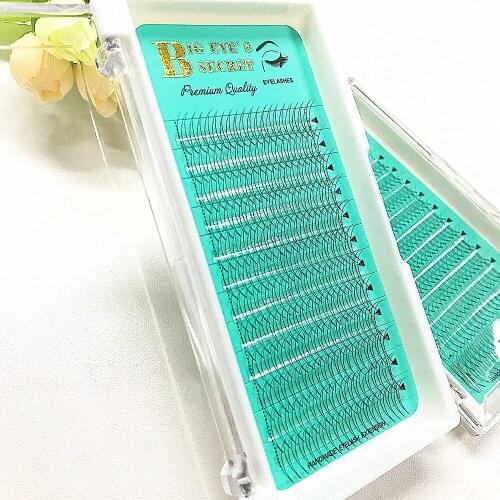 2D False Eyelashes Russian Volume Eyelash Extension 2D Wimpers Premade Fans Individual Lashes Free Shipping
