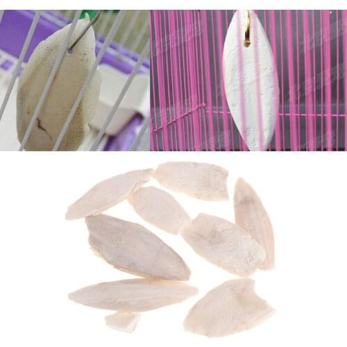 1 Bag Cuttlebone Cuttlefish Sepia Bone Cuttle Fish Bird Food Calcium Pickstone Pet