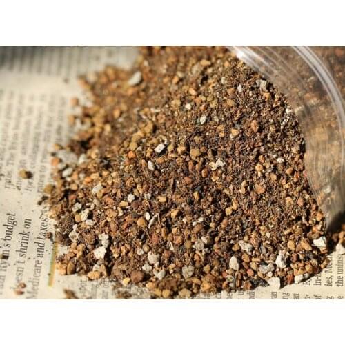 Free disinfection special tone planting soil succulents planted soil seedling planting soil.garden supplies