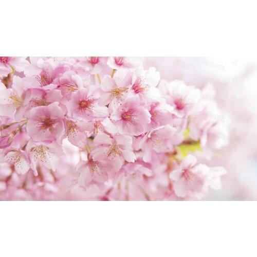 Diy Diamond Painting Beautiful Flowers Girls Heart Color Peach Blossom Red Other Bank Flower Personality Decorative Painting