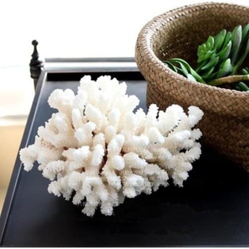 Natural white coral aquarium coral shell sea snail fish tank office furnishing aquarium landscaping coral reef