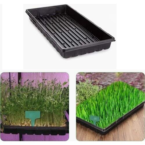 6 Packs Plastic Growing Trays Nutrition Bowl Seed Tray Seedling Starter for Greenhouse Hydroponics Seedlings Plant Germination