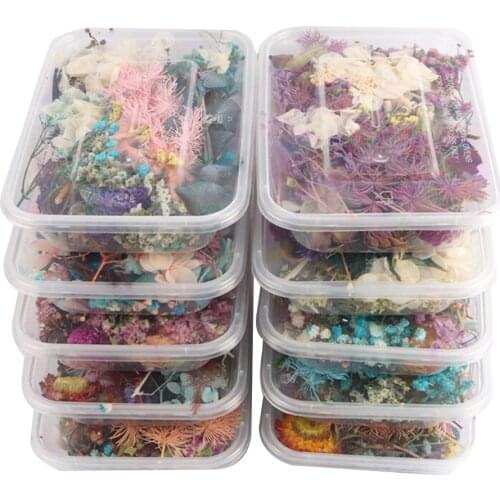 Dried Flower Dry Plants For Aromatherapy Candle Epoxy Resin Pendant Necklace Jewelry Making Craft DIY Accessories