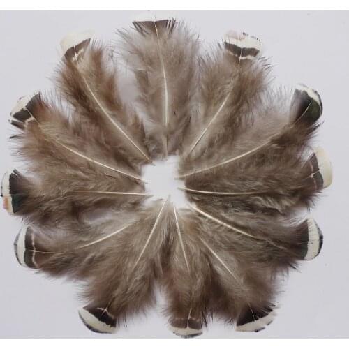 Wholesale 20/50/100 pcs 4-9cm Beautiful Natural Pheasant Chicken Feathers For DIY Clothing Crafts Jewelry Accessories Decoration