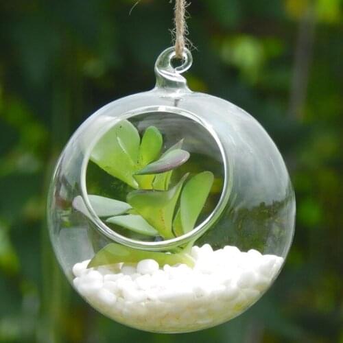 Free Shipping Betty Store Diameter=8cm 8pcs/pack Glass Ball Terrarium with a little Top Open Beautiful Wedding Decorative