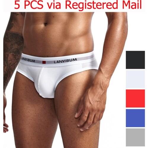 5PCS 2019 Sexy Men Cotton Underwear Breathable Mens Briefs Underpants Comfortable Gay Underwear penis Cueca Male Panties Shorts