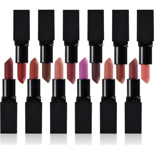 New 12 Colors Matte Moist Lipstick Pigment Long Lasting Makeup Waterproof Cosmetics Red Nude Lipstick Vegan Custom Label Logo
