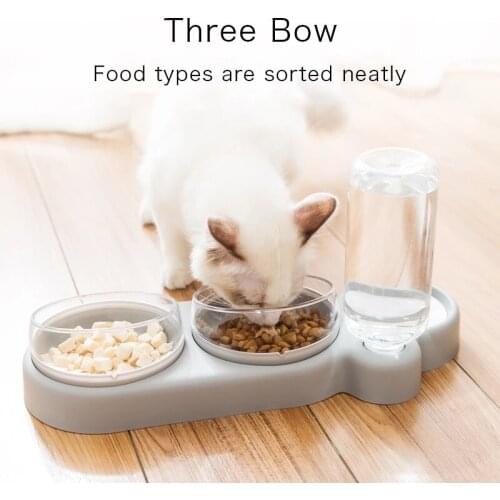3 Bowls Tilt Raised Design Pet Dog Cat Food Bowls Automatic Water Bottle Protect Pets Spine Double Bowls for Cats Stand Feeder