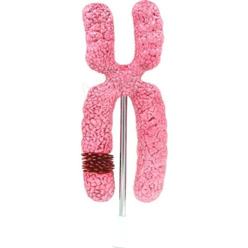 Heymodel Educational Equipments