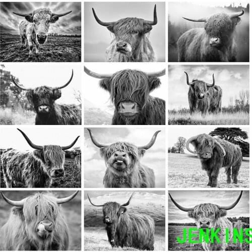 5D DIY Diamond Embroidery Highland Cow Full Square Diamond Painting Cross Stitch Black White Animals Mosaic Home Decor jenkins