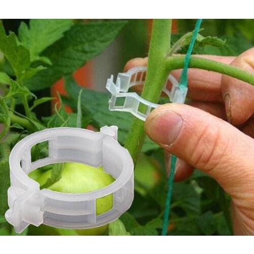 50pcs Plastic Plant Clips Supports Connects Reusable Protection Grafting Fixing Tool Gardening Supplies for Vegetable Tomato