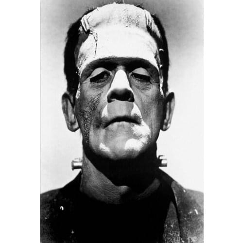 Boris Karloff Frankenstein Horror Science Fiction Movie Art Film Print Silk Poster Home Wall Decor 24x36inch