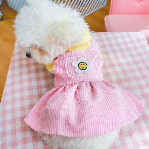 Pet Warm Clothes Dog Cat Autumn Winter Thicken Princess Skirt Puppy Coat Jumpsuit For French Bulldog Teddy Pet Couple Outfit