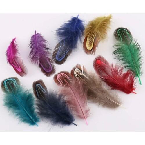 50pcs 4-7cm/1.5-3in Natural Real Pheasant Diy Brooch Hair Hoop Clip Feathers Jewelry Making Christmas Holiday Decoration Plumes