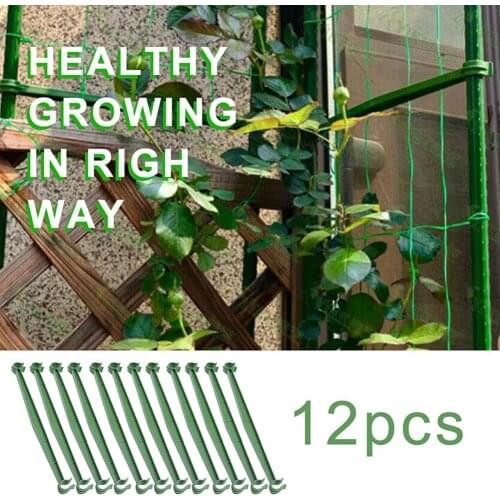 12Pcs Outdoor Plastic Plant Fixed Support Rod Vegetable Growing Bracket for Climbing Fruits
