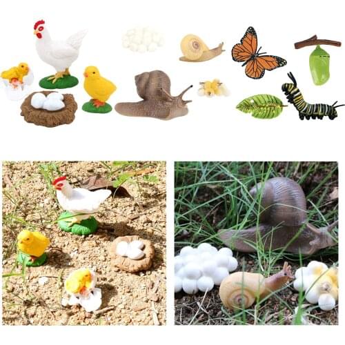 Kids Simulation Animal Figure Butterfly Snail Growth Process Playset