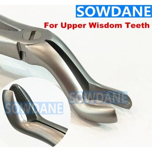 1 piece High Quality Stainless Steel Dental Adult Tooth Extraction Plier For Upper Wisdom Teeth Dental Surgery Forcep