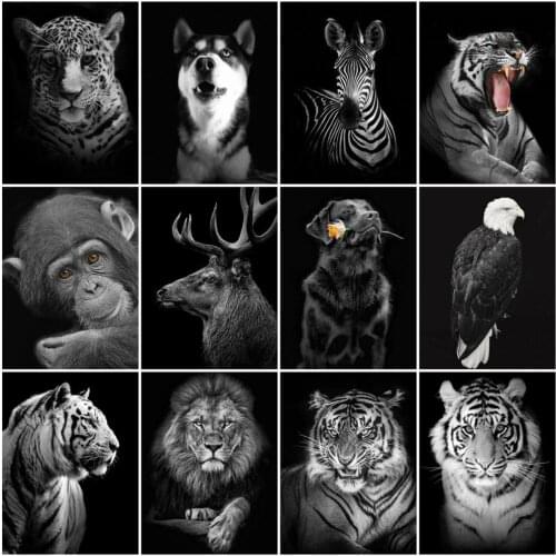 HUACAN Full Drill Diamond Painting Animal Tiger Diamond Embroidery Black White Mosaic Handcraft Handmade Gift