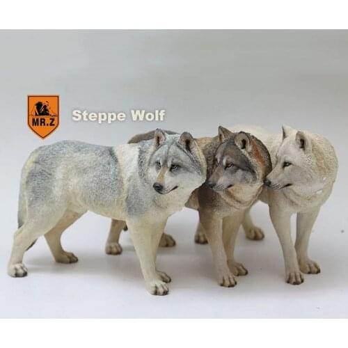 Mr.Z 18.5CM Prairie Wolf simulation PVC animal model Wild dog mount Kids adult Toys home car decoration For action figure doll
