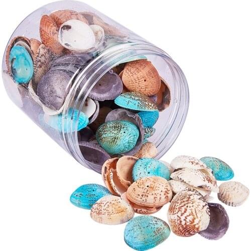 100-120Pcs Mixed Sea Shells Ocean Beach Spiral Seashells Craft Charms for Home Decorations, Beach Theme Party, Candle Making