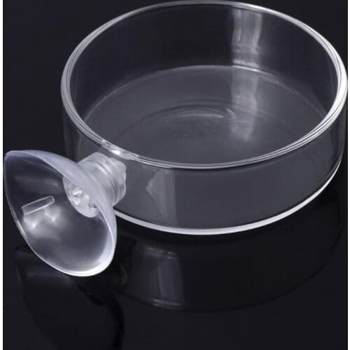 New Arrival Fish Tank Feeder Aquarium Shrimp Glass Feeding Bowl Clear Dish Tray Retailsale