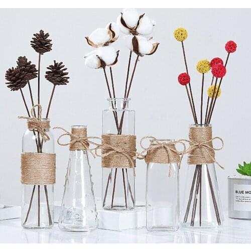 Transparent Water Hydroponics Glass Flower Plants DIY Flower Rope Dry Flower Vase Living Room Table Decoration Glass Bottle