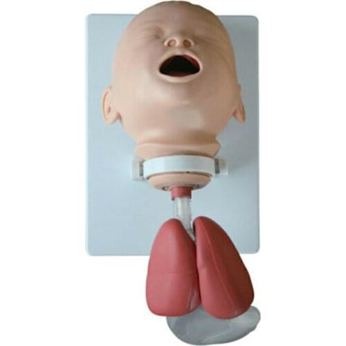 Medical Science Subject Simulator Series Infant Intubation Training Model for teaching