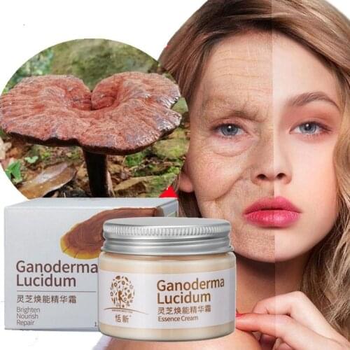 Natural Herbal Extract Essence Ganoderma Lucidum Face Cream Repair Facial Skin Moisturizing