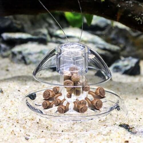1PC Snail Trap Plastic Transparent Pest Catch Box Worm Bait Feeding Box Useful Creative Aquarium Cleaner Tool Accessories