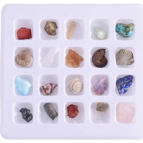 20 Pcs /box Fossils Minerals Specimen Teaching School Mineral Collections Fossil Rocks Display Home Decor Mineraalstukken Stone