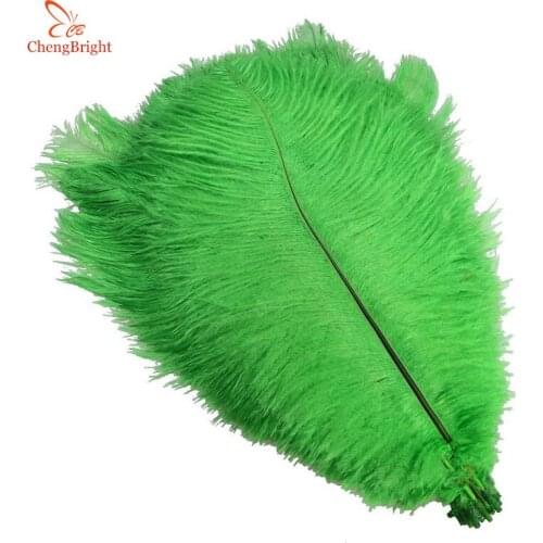 ChengBright 100Pcs/Lot Green Natural Ostrich Feathers For Crafts 15-70CM Carnival Costumes Party Home Wedding Decorations Plumes