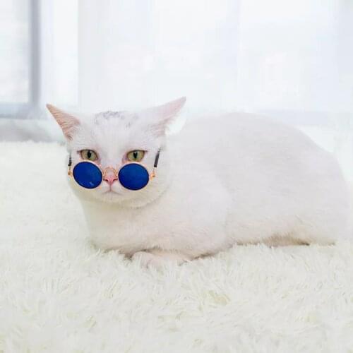Pet Products Lovely Vintage Round Cat Sunglasses Reflection Eye Wear Glasses for Cats Puppies Dogs Pet Photos Props Accessories