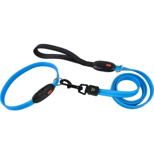 10PCS / LOT Pet dog Luminous Traction Nylon Flat Cord Lamp Belt Collar USB Charging Collar Pet Supplies