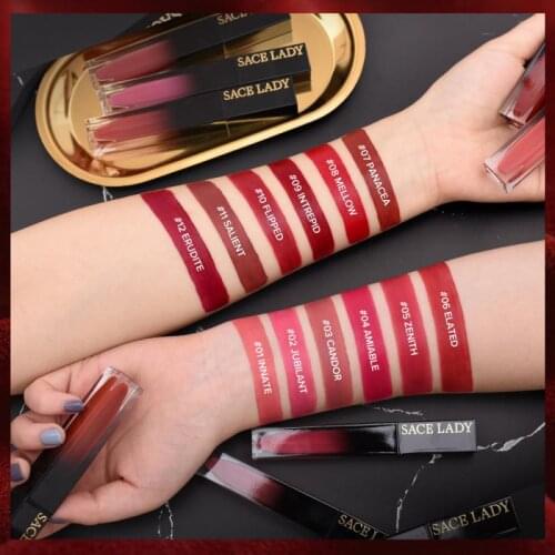 12COLOR Velvet Matte Lipstick Matte Waterproof Non-marking Lipstick Long Lasting Lipstick Lip Glaze Lip Makeup Cosmetics TSLM1