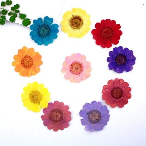 60pcs Yellow crystal chrysanthemum dried flower bookmark Pendant Necklace Making Craft DIY Accessories