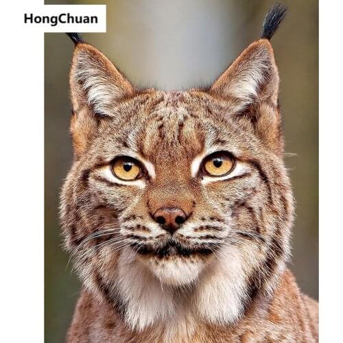 Cute Big Cat 5D DIY Full Square/Round Diamond Painting Diamond Embroidery Mural Diamond Cross Stitch Home Decoration Gift