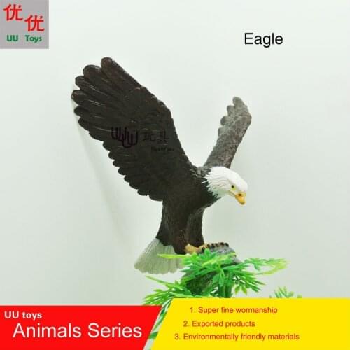 Hot toys:Eagle Bird simulation model Animals kids toys children educational props